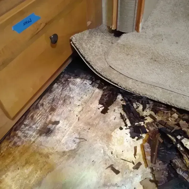 Best Wood Floor Water Damage Service in Charlotte County, FL